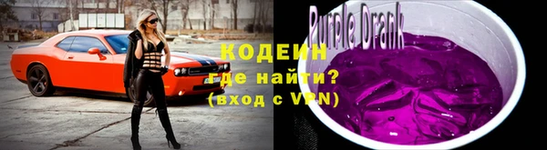твердый Лагань