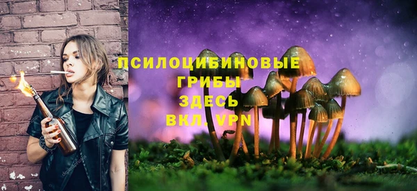 гидропоника Осташков