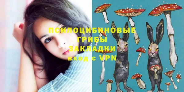 МДПВ Липки
