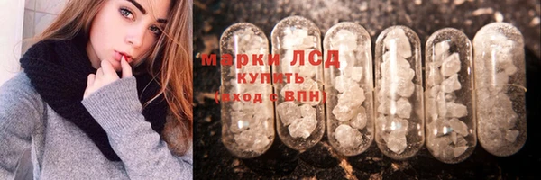 прущие грибы Лихославль